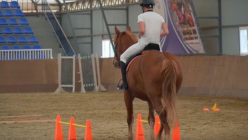 Кубанские всадники третий год подряд стали лидерами первенства России по конкуру