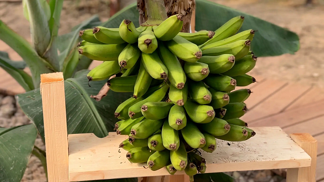 Фото: Александр Брыскин