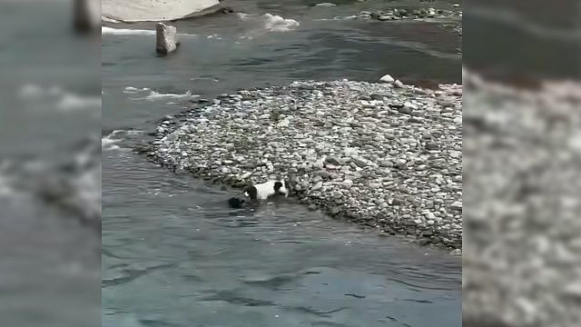 Фото: t.me/mtrk_krasnodar