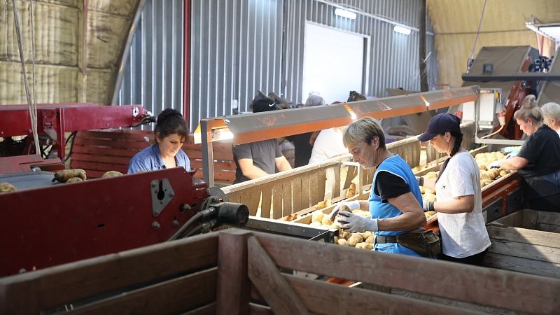 Вениамин Кондратьев оценил работу фермерского хозяйства в Тимашевском районе 