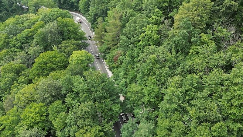 Многокилометровая пробка образовалась на трассе М-4 «Дон» из-за ДТП