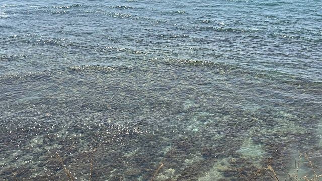 На дне озера нашли 2000-летние сокровища римского судна в Швейцарии