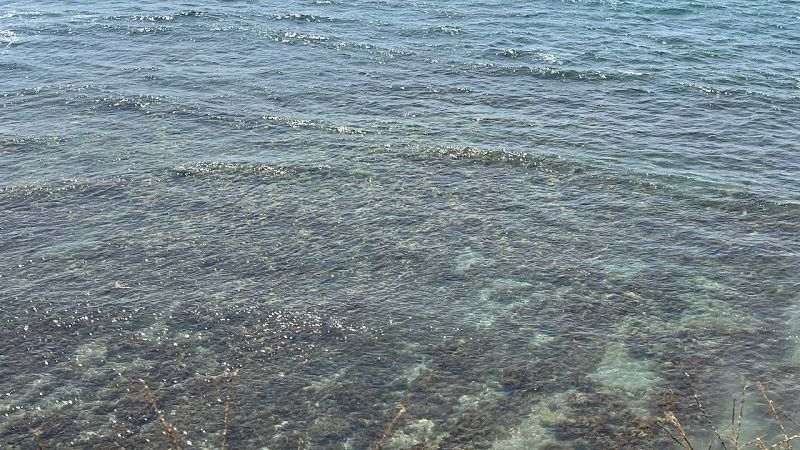 На дне озера нашли 2000-летние сокровища римского судна в Швейцарии