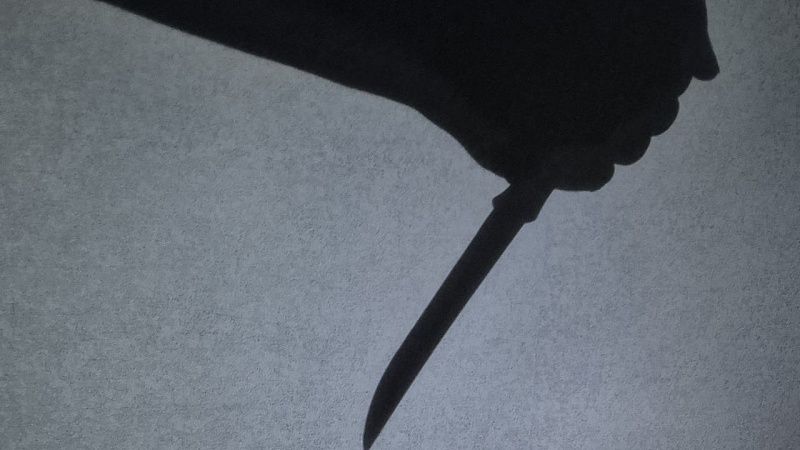 Озверевший 19-летний убийца забил молотком сверстника и был арестован в Питере