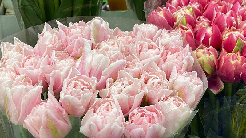 Более 96 тонн цветов отправили из аэропорта Сочи к 8 марта