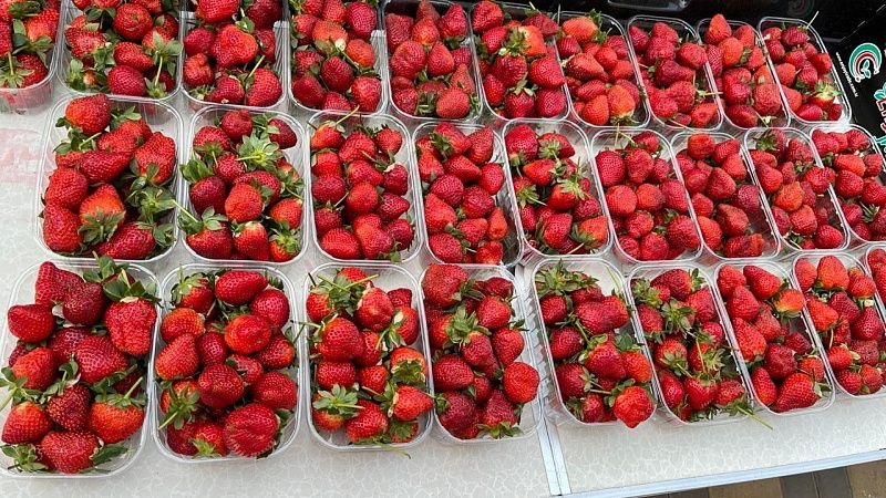 Кубанская клубника в 2025 году обойдётся дороже прошлогодней 