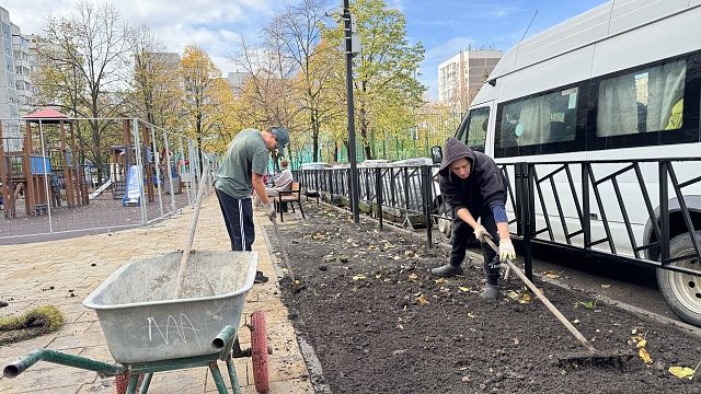 Озеленение сквера Чепеги и бульвара Шаляпинского начали в Краснодаре