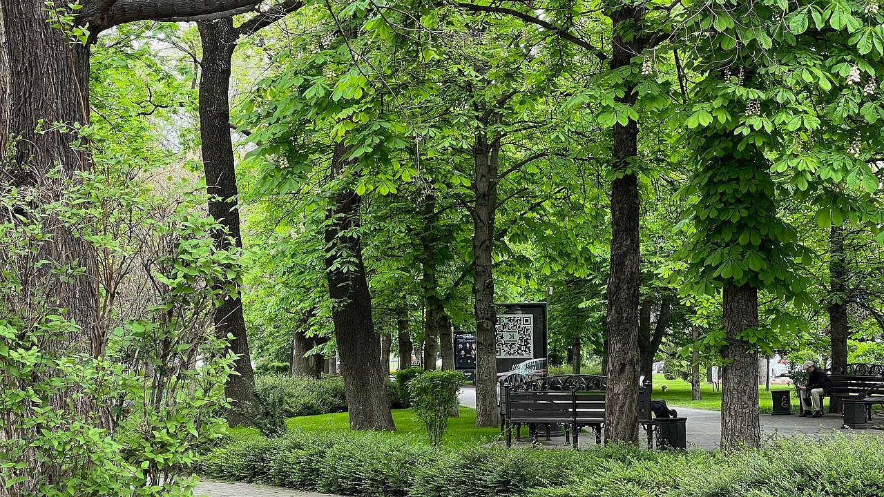 На Первомай будет облачно с прояснениями, но прохладно. 30.04.2023 г ...