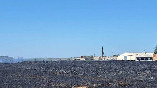 Фото: t.me/mchs_kuban