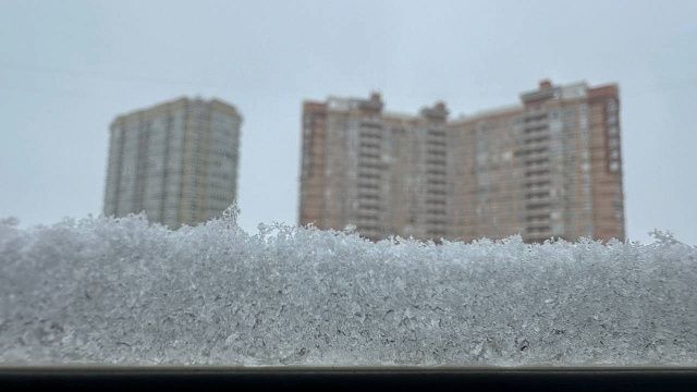 Фото: телеканал «Краснодар»