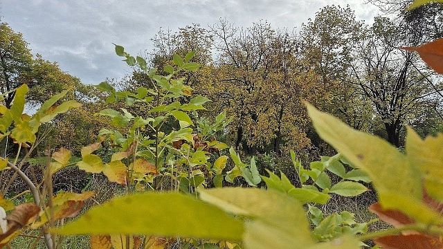 Фото: телеканал «Краснодар»