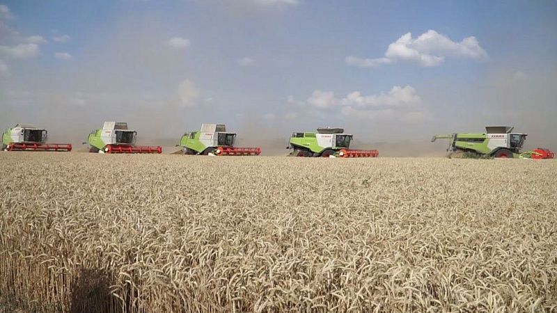 Посев яровых культур завершат в Краснодаре