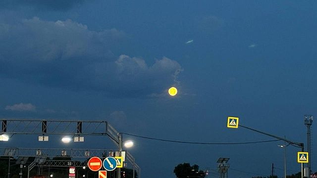 Фото: телеканал «Краснодар»