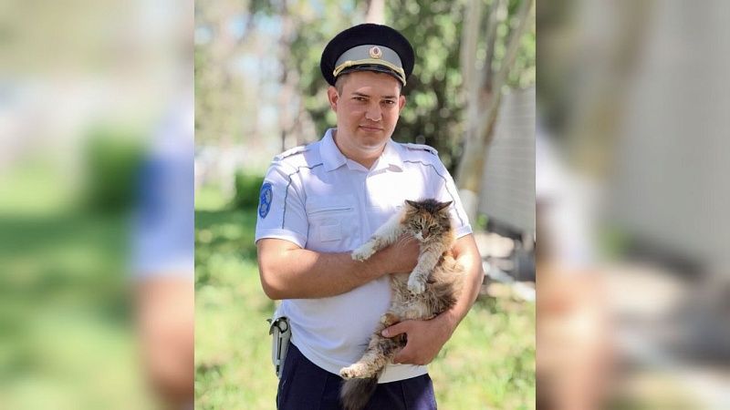 Полицейский спас кошку от стаи собак в Абинске