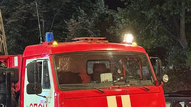 В пожаре сгорели животные и 2 здания на территории зоопарка в Новосибирске