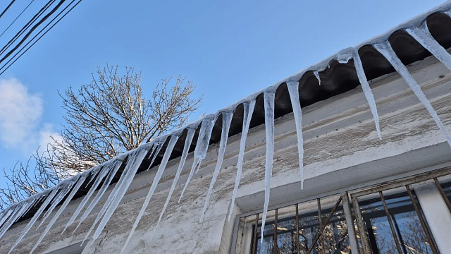 Фото: телеканал «Краснодар»