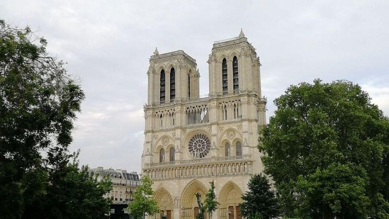 Из-за секс-кукол остановить работу Shein на три месяца запросила Франция