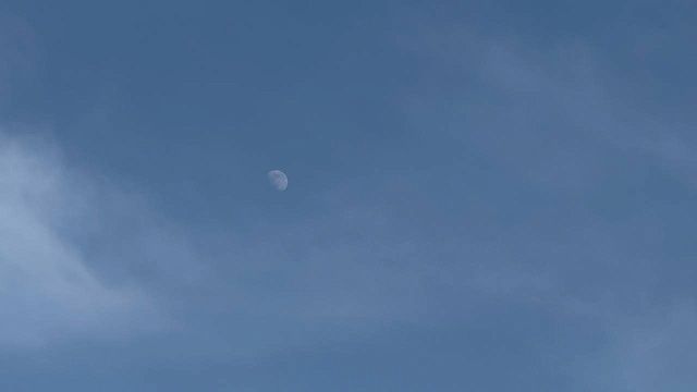 Фото: телеканал «Краснодар»