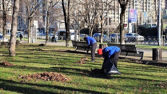 фото: пресс-служба администрации Краснодара