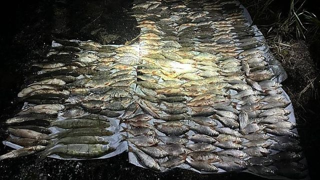 Фото: объединенная пресс-служба судов Краснодарского края