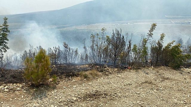 Фото: пресс-служба прокуратуры Краснодарского края