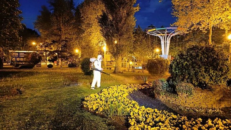 В ночь на 8 июля пройдет дезинсекция против клещей и комаров в парках Краснодара 