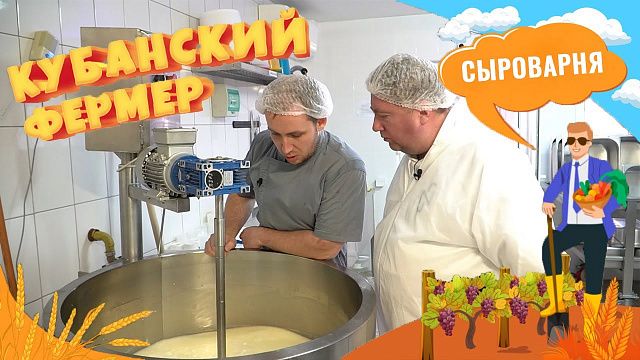 Как варить вкусный сыр и развивать производство сыра на Кубани? Современные виды российских сыров