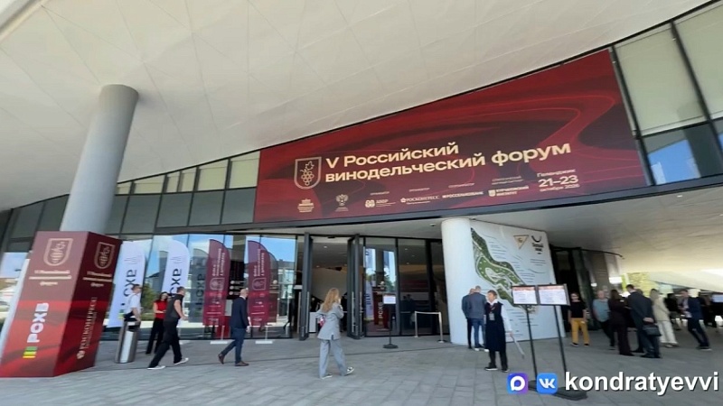 Российский винодельческий форум впервые принял Геленджик