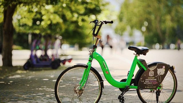 Фото: телеканал «Краснодар»