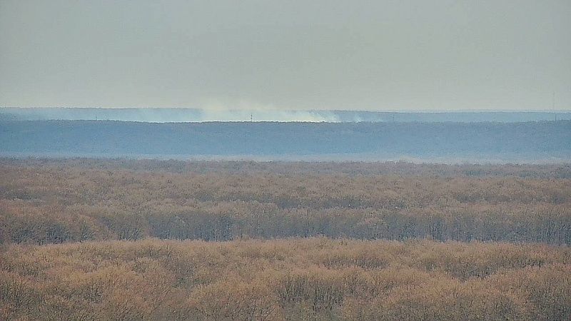 Два лесных пожара ликвидировали за сутки в Краснодарском крае