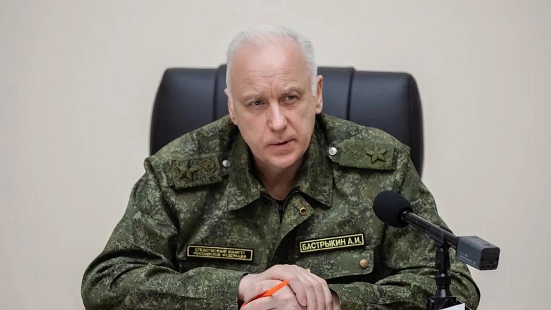 Бастрыкин затребовал доклад после избиения школьницы под Новосибирском