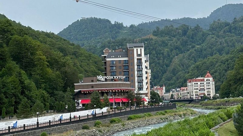 Краснокнижный пеликан внезапно показался орнитологам на Розе Хутор