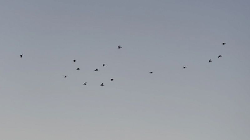 Беспилотник ВСУ сбили российские военные на подлёте к Москве 