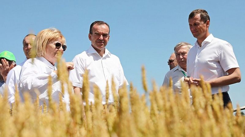 12 млн тонн зерна: губернатор Кубани рассказал о планах на урожай в 2022 году