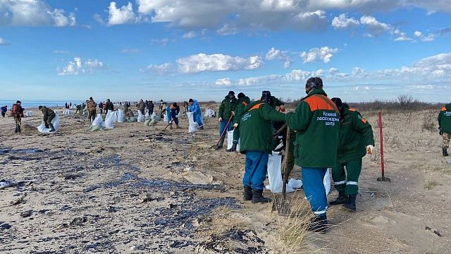 Фото: Министерство природных ресурсов Краснодарского края