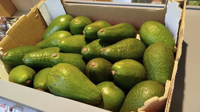 Фото: телеканал «Краснодар» 