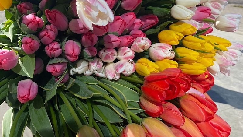 Более 200 точек стихийной продажи цветов нашли в Прикубанском округе Краснодара