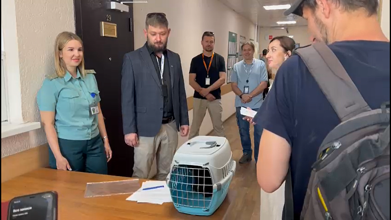 Видео: кот Бурак стал россиянином 