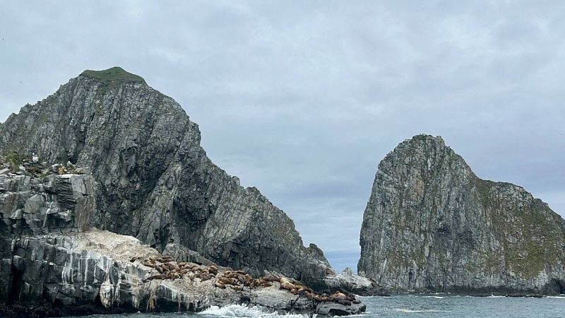 Ученые обнаружили скрытый подводный мир в глубинах Тихого океана