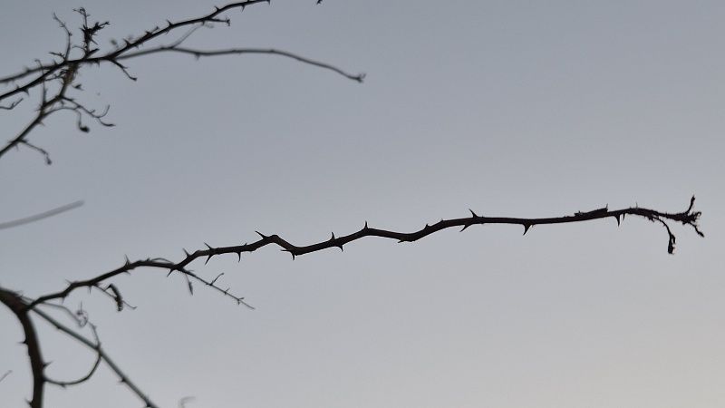 Обломки БПЛА попали в жилой дом в Анапе 