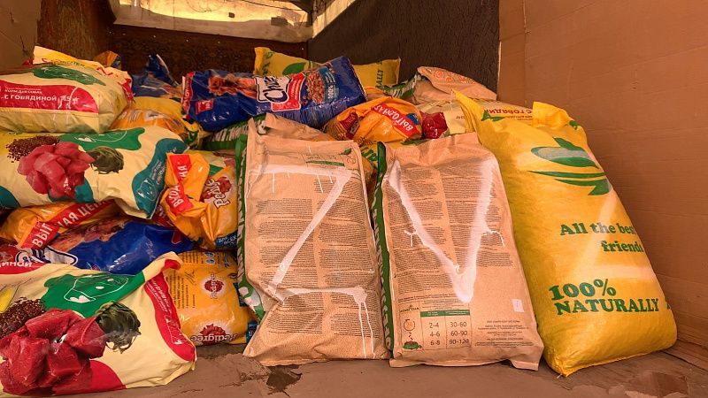 «Молодежка ОНФ» Краснодара отправила порядка 3 тонн корма для животных на Донбасс