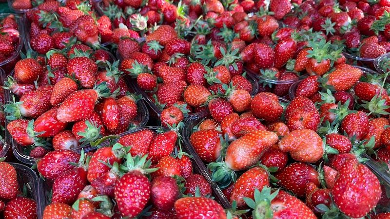 Цены на клубнику вырастут минимум на 30% из-за снега на Кубани