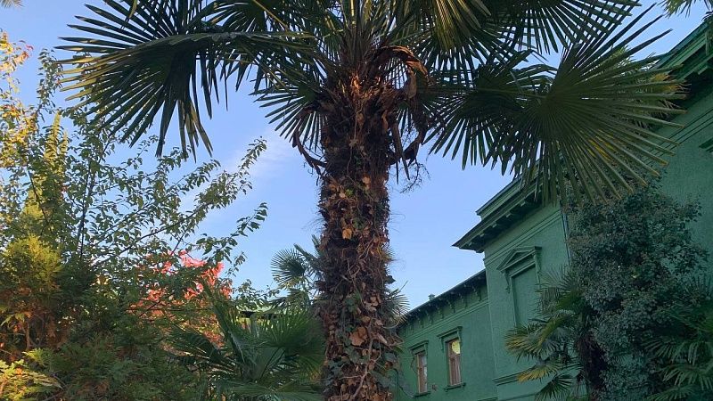 Спрос на покупку аппартаментов поднялся на 54% в Сочи