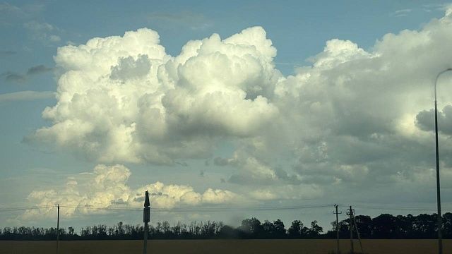 Фото: телеканал «Краснодар»