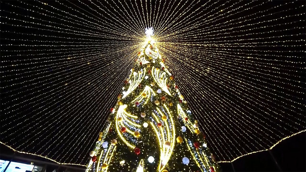 Предновогодние итоги в Краснодаре и крае. Новости 30 декабря