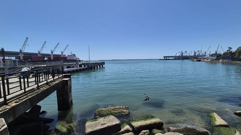 Стрельбы станут причиной закрытия 5 июля акватории Туапсе