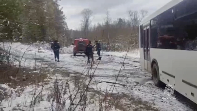 Пропавшая семья Усольцевых могла найти убежище в тайге и скрыться