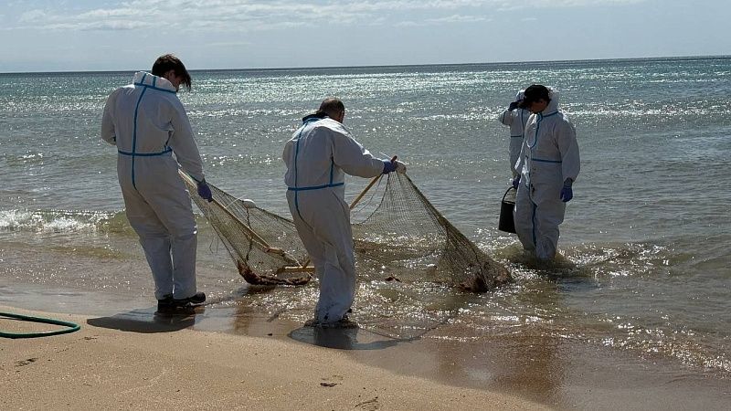 Демонтаж защитного вала начался на пляжах в Анапе