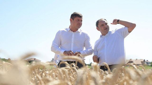 Андрей Алексеенко: учхоз «Кубань» имеет один из лучших показателей урожайности зерновых в крае