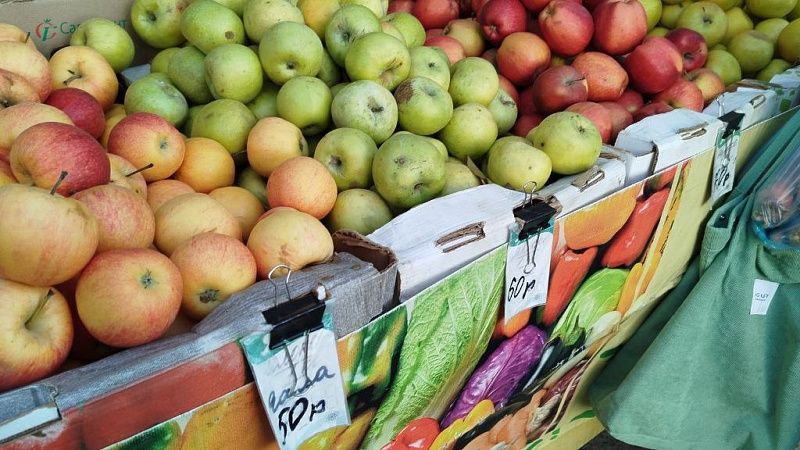 Ярмарки выходного дня откроются 31 мая в Краснодаре